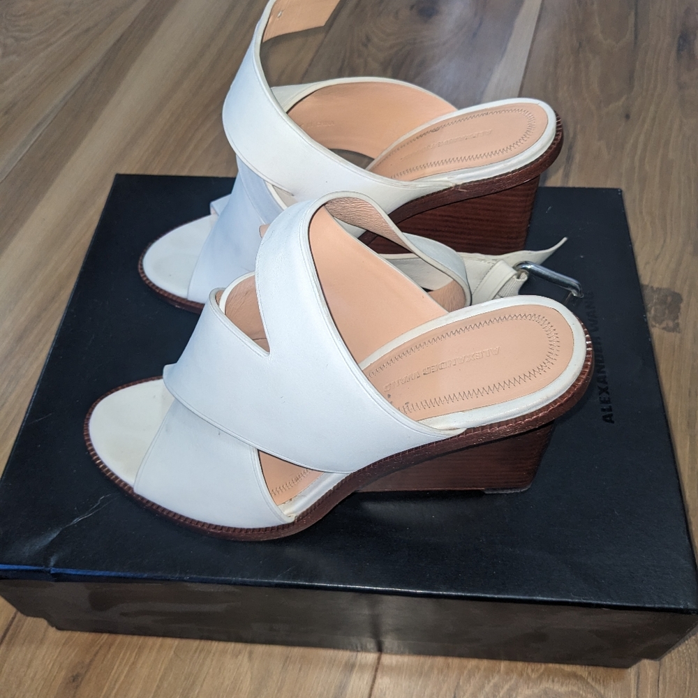 Alexander Wang wedges
